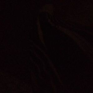 Meet your Posher, Martha